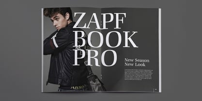 ITC Zapf Book Font Poster 1