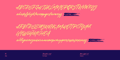 Disruptor's Script Font Poster 3