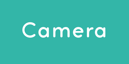 Camera Fuente Póster 1