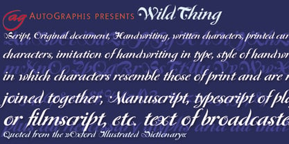 WildThing Font Poster 2