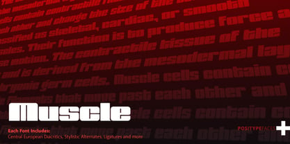 Muscle Font Poster 1