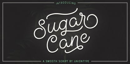 UT Sugar Cane Fuente Póster 1