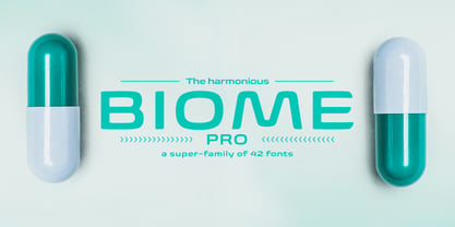 Biome Font Poster 1