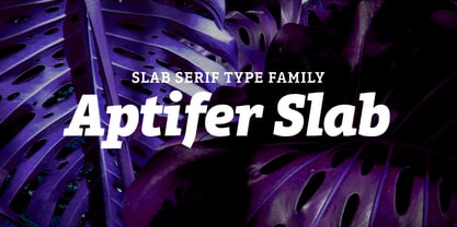 Aptifer Slab Font Poster 1