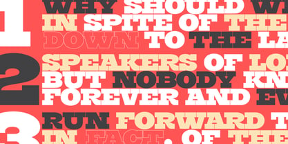 Burger Font Poster 10