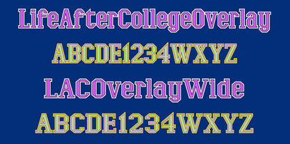 LifeAfterCollege Font Poster 7