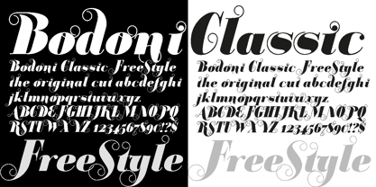 Bodoni Classic Free Style Police Poster 1