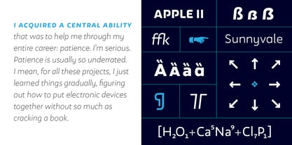 Wozniak Font Poster 16