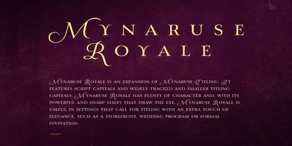 Mynaruse Royale Font Poster 1