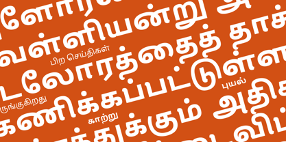 Lisboa Tamil Font Poster 5