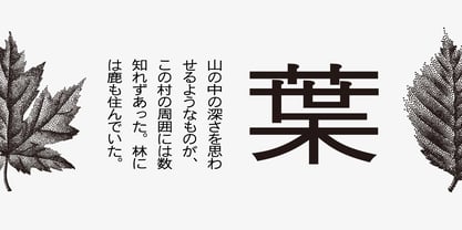 Iwata News Gothic Pro Font Poster 2