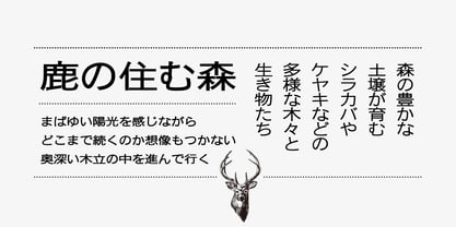Iwata News Gothic Pro Font Poster 3