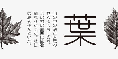 Iwata Maru Gothic Pro Font Poster 2