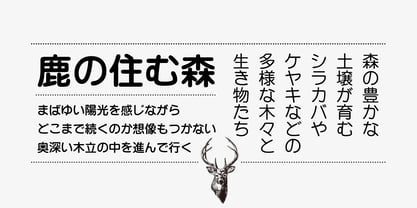 Iwata Maru Gothic Pro Fuente Póster 3