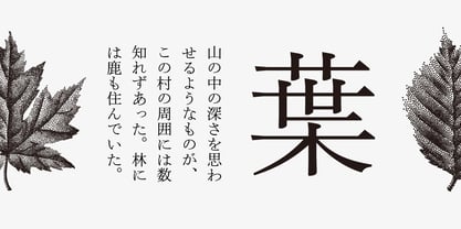 Iwata Mincho Old Pro Font Poster 2