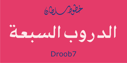 SF Droob7 Police Poster 1