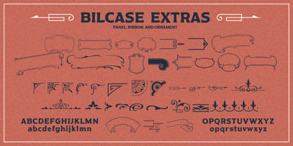 Bilcase Font Poster 4