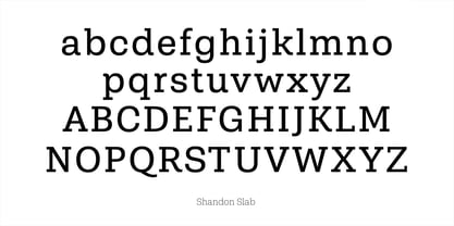 Shandon Slab Font Poster 16