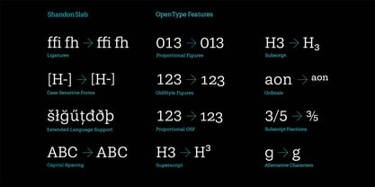 Shandon Slab Font Poster 9