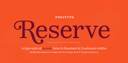 Reserve Font Poster 13