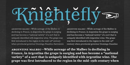 Reserve Font Poster 11