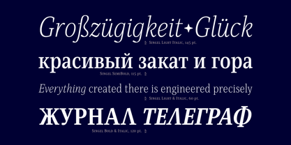 Singel Font Poster 4