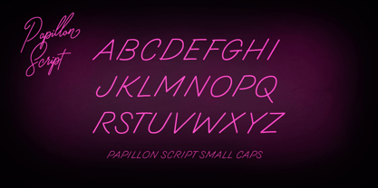 Papillon Script Font Poster 8