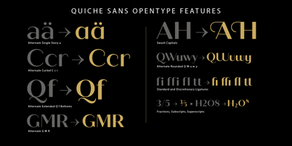 Quiche Sans Font Poster 13