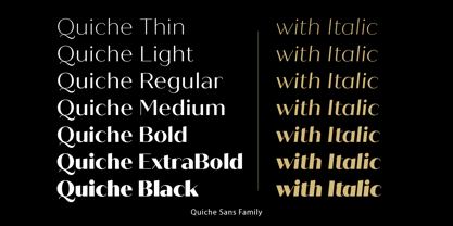 Quiche Sans Font Poster 9