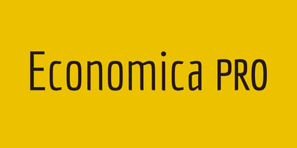 Economica PRO Font Poster 6