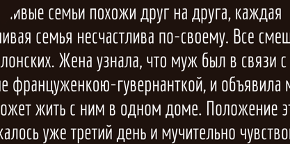 Economica Cyrillic PRO Font Poster 9
