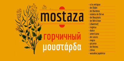 Economica Cyrillic PRO Font Poster 6