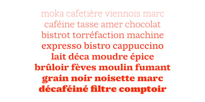 Molto Font Poster 9