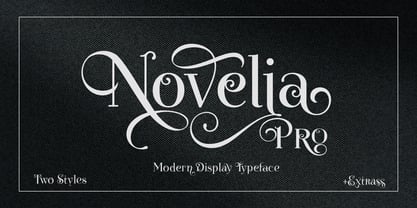 Novelia Pro Font Poster 11