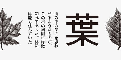 Iwata G Gothic Pro Font Poster 2