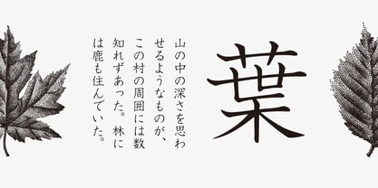 Iwata GKyoukasho Pro N Font Poster 2