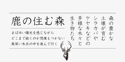 Iwata GKyoukasho Pro N Font Poster 3