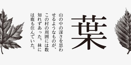 Iwata GMincho Pro Font Poster 2