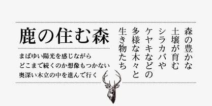 Iwata GMincho Pro Font Poster 3