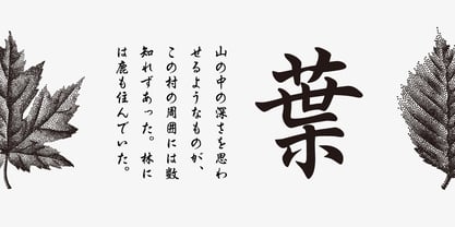 Iwata Gyousho Pro Font Poster 2