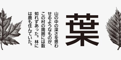Iwata GNew Gothic Pro Font Poster 2