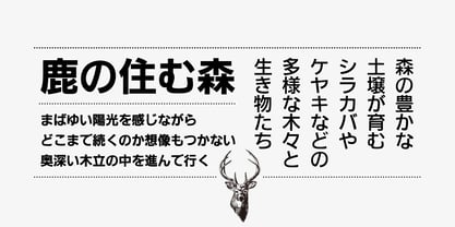 Iwata GNew Gothic Pro Font Poster 3