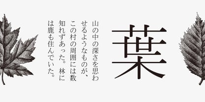 Iwata Mincho Std Font Poster 2