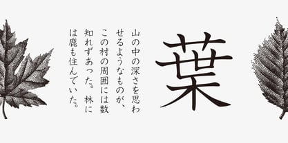 Iwata Kyokasyo Pro Font Poster 2