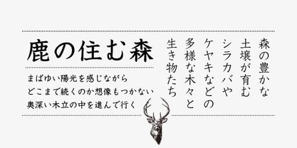 Iwata Kyokasyo Pro Font Poster 3