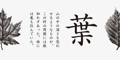Iwata Kaisho Pro Font Poster 2