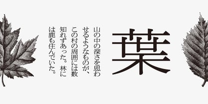 Iwata News Mincho Std Font Poster 2