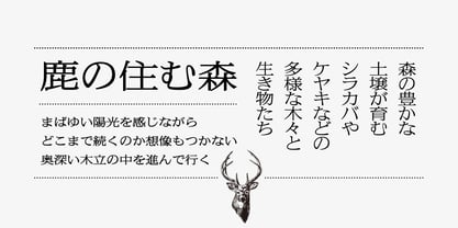 Iwata News Mincho Std Font Poster 3