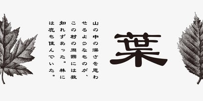 Iwata Reisho Pro Font Poster 2