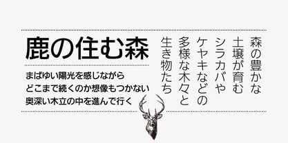 Iwata New Gothic Fuente Póster 3